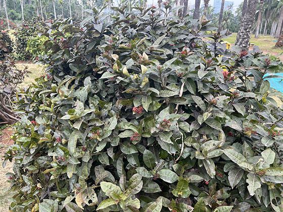 职业培训补贴的申请流程是怎样的，有哪些常见注意事项？