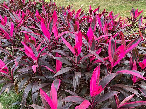 传统行业转型升级：虚拟主播在零售服务业的应用模式