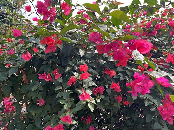 农村转移劳动者参加培训期间的生活补贴政策如何？