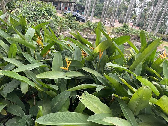 小微企业主为员工申领培训补贴，需要满足哪些基本条件？