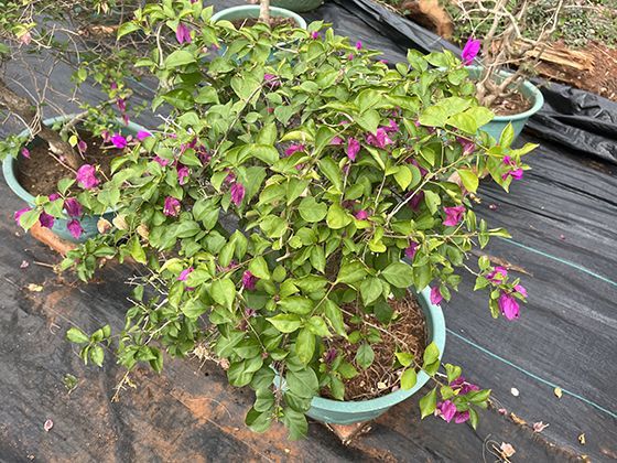 频繁使用满减优惠点外卖，长期来看会对消费习惯产生什么改变？