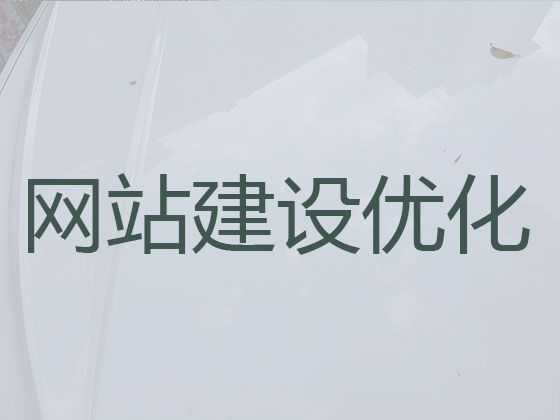 嘉善县专业网站开发设计-SEO推广，多年专业建站经验