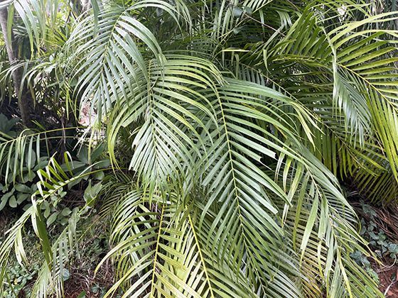 腿脚不灵便的长辈进行日常居家活动有哪些安全技巧