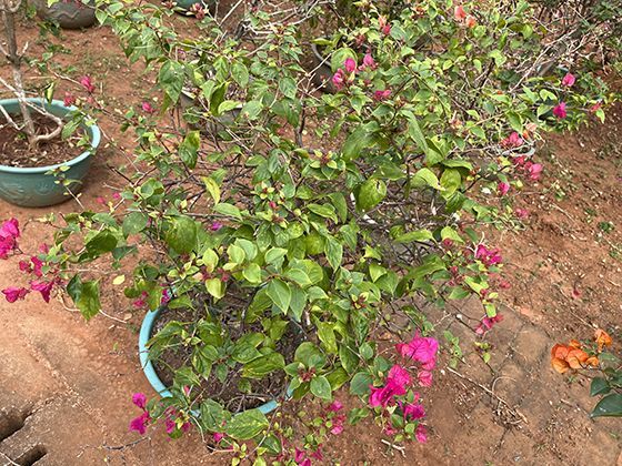 自有住房的窗户密封与隔音效果，自行升级有哪些选择？