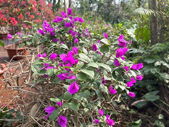 当月的“其他扣费”突然增加，可以从哪几个方面排查原因？