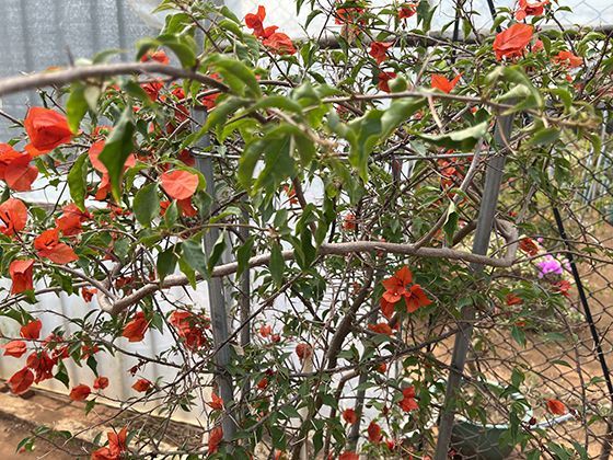 从“随到随享”到“计划消费”，预约如何改变我们的休闲方式？