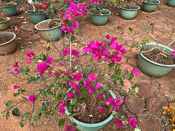 2026年主流智能垃圾箱在社区和道路等公共场景的应用效果如何？