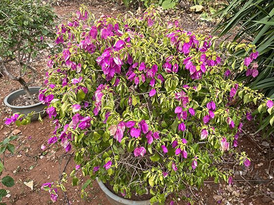 离职或换工作后，之前缴纳的工会费与互助金能否退还或转移？