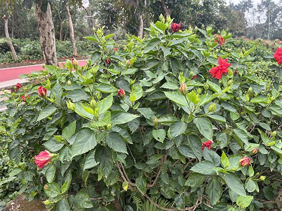 2026年哪些新公布的职业培训项目可以申请政府补贴？