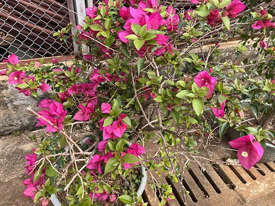 影响电动车续航能力的核心因素有哪些，如何优化日常驾驶习惯？