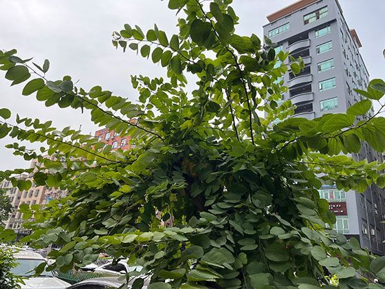 在延迟退休趋势中，我们该如何提升自身技能以避免职场年龄歧视？