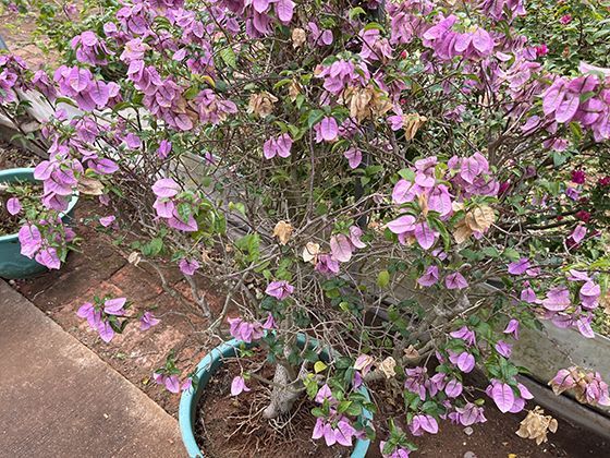 车企宣传的电池参数很多，哪些才是用户真正需要关注的？