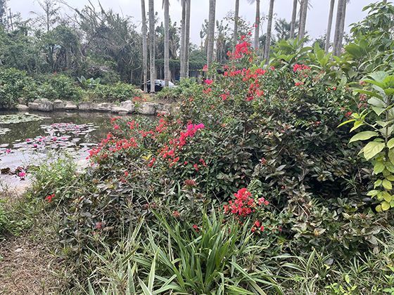 米兰冬奥会预计将使用哪些智能科技提升观赛与竞赛体验？