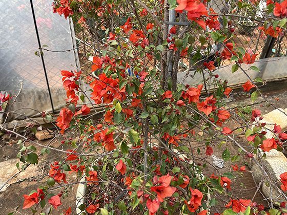 遇到扫码点餐强制关注公众号，如何有效沟通维护自身权益？