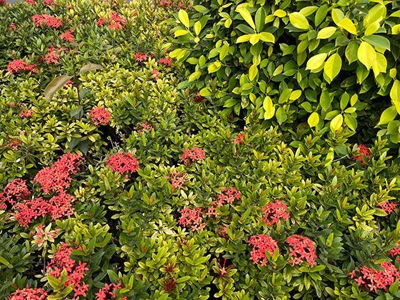 如何辨别并谨慎使用智能设备中那些以便利换取隐私的功能？