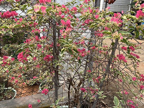 快递包装轻量化会降低商品保护性能吗？