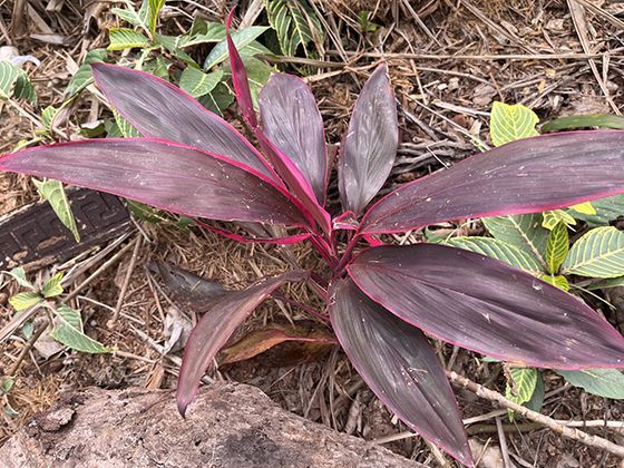 2026年，不同行业发放留岗红包的平均水平大概在什么范围？