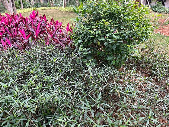 从历史角度看，人类对雷电的认识经历了怎样的演变过程？