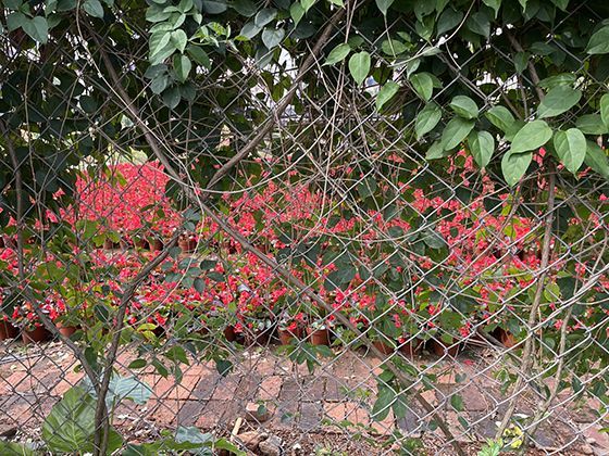 新兴技术领域创造了哪些我们未曾预见的灵活岗位？