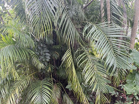 购买的大包装食材如何分装储存才能兼顾便利与新鲜度？