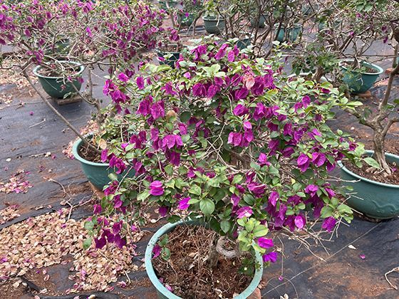 签约时如何将房东口头承诺有效写入纸质合同中