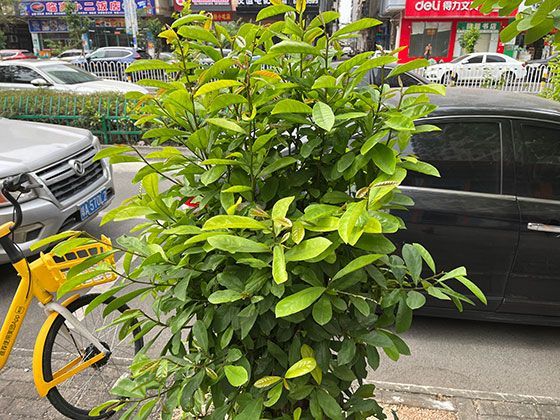 对于算法，我们是否应该建立一套通用的伦理评估准则与社会监督机制？