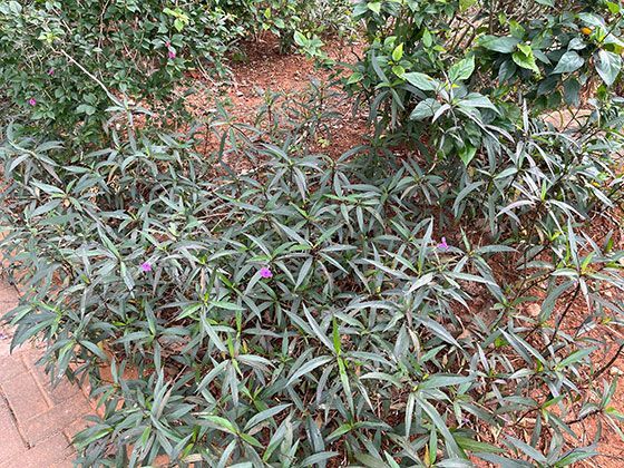 快递员未联系收件人便投放快递柜，产生的保管费应该由谁来承担？