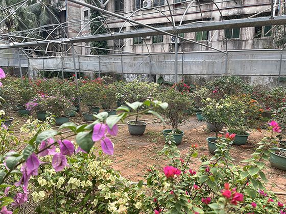 2026年申请智能家电与智能家居补贴时常见问题如何解决？