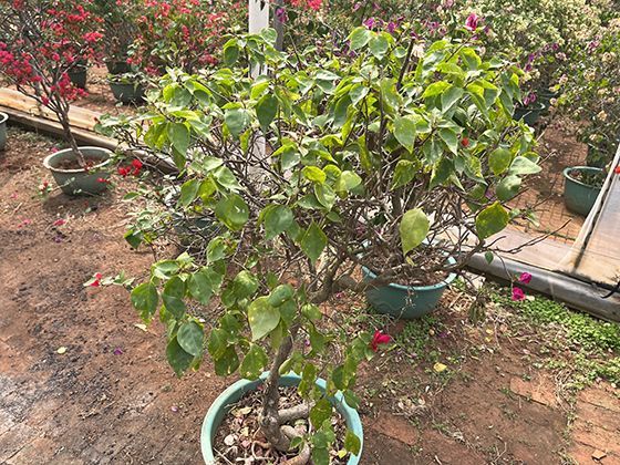 在团队协作中，如何更有效地理解他人需求并精准整合各方信息？